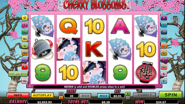 Cherry Blossoms 3